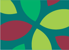 Branding, piezas para redes sociales y otras Nutra